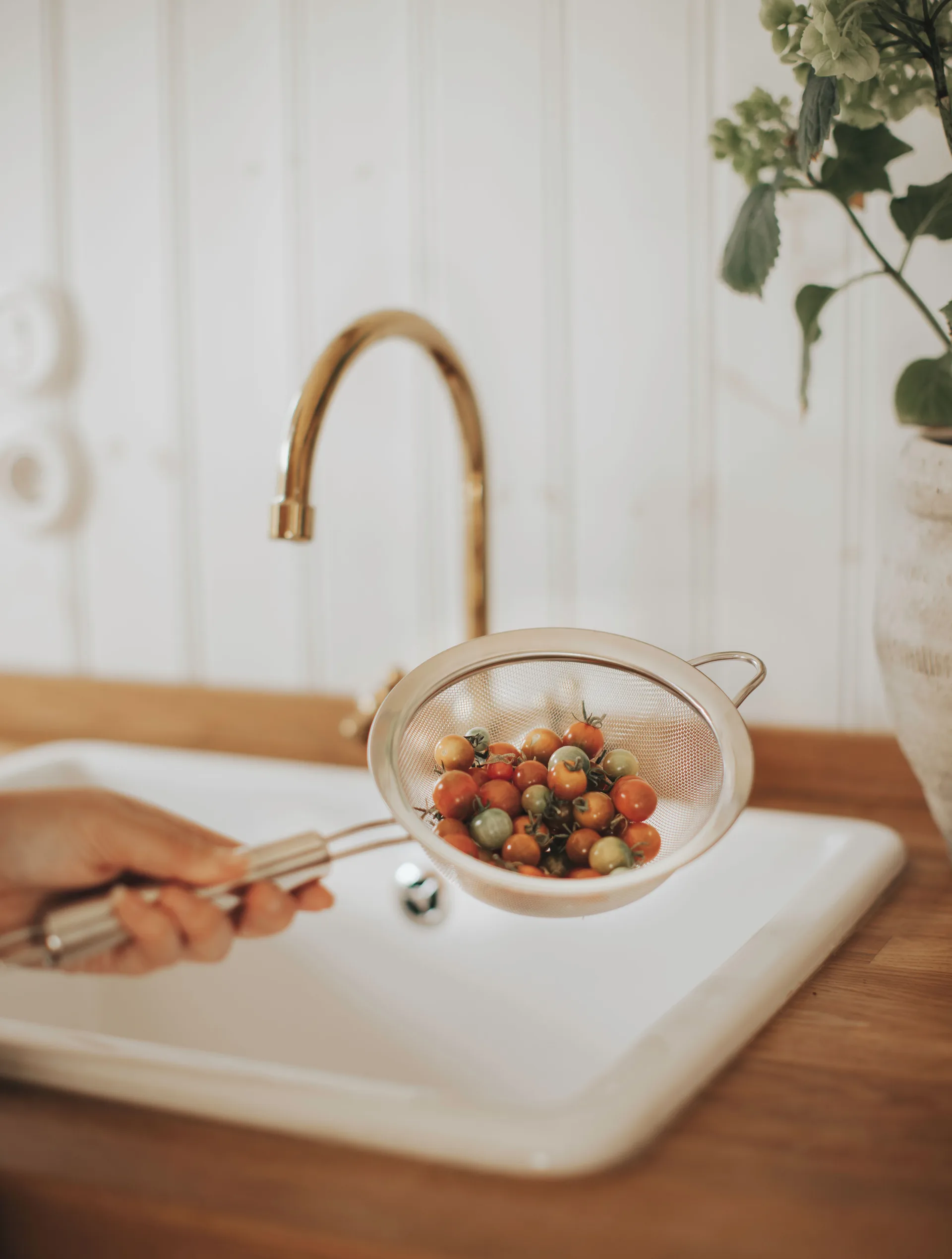 Κόσκινο Pia Ø16 cm, Ανοξείδωτο ατσάλι Dorre