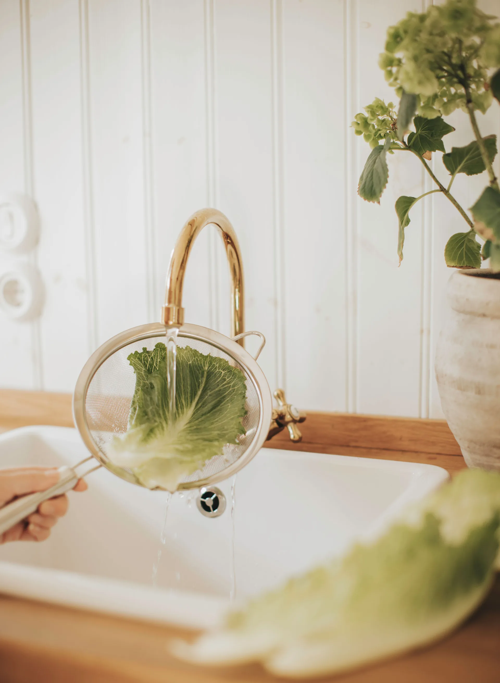 Pia κόσκινο Ø20 εκ, Ανοξείδωτο ατσάλι Dorre