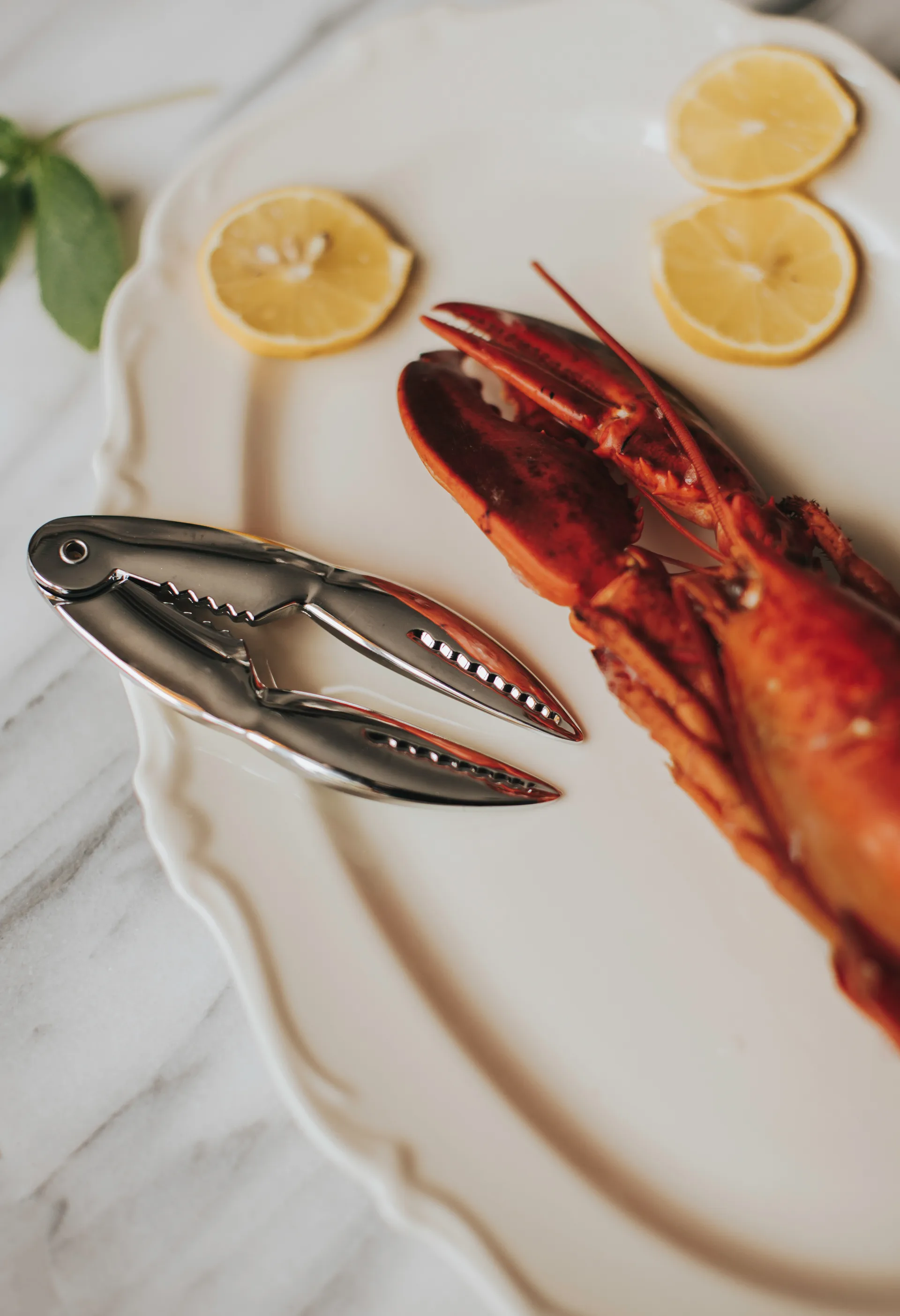 Λαβίδα θαλασσινών Skai 13,5 cm, Ασημένιο Dorre