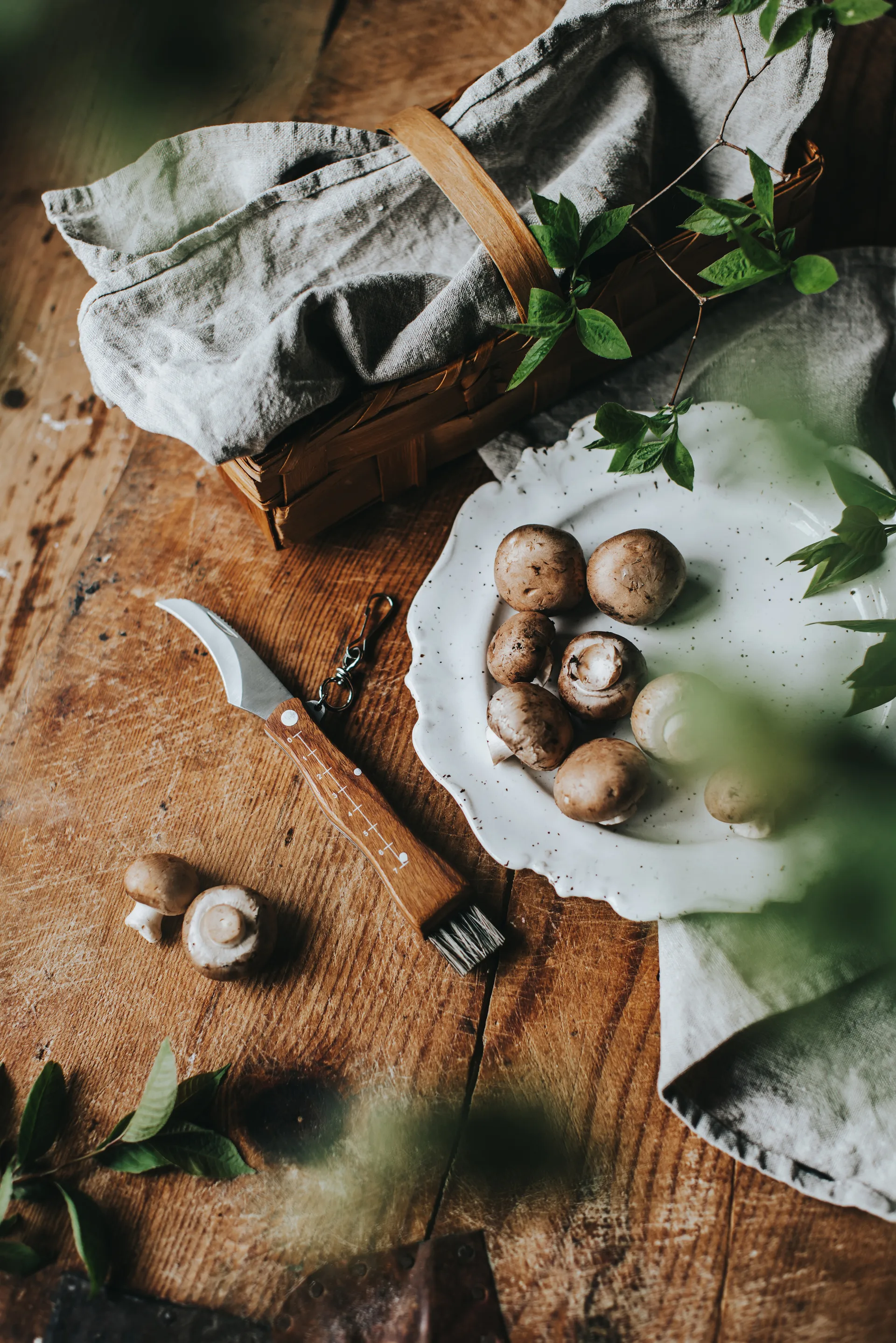 Stuti μαχαίρι για μανιτάρια καφέ ξύλινη λαβή με βούρτσα 13x2 cm, Ανοξείδωτο ατσάλι Dorre