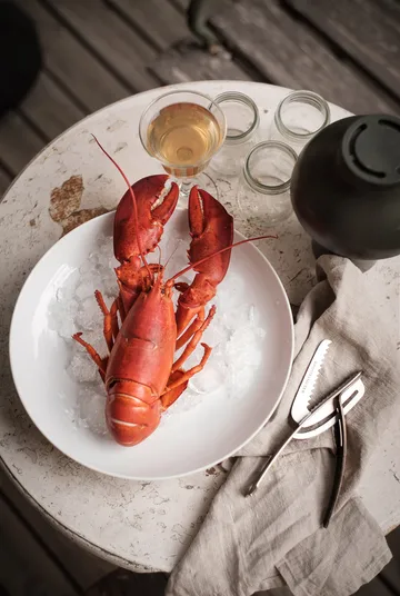 Drosselmeyer τανάλια για θαλασσινά - Ανοξείδωτο ατσάλι - Drosselmeyer