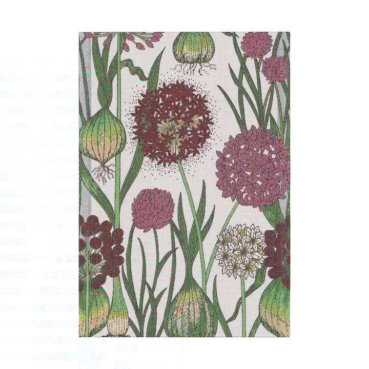 Πετσέτα κουζίνας Allium 35x50 cm - Multi - Ekelund Linneväveri