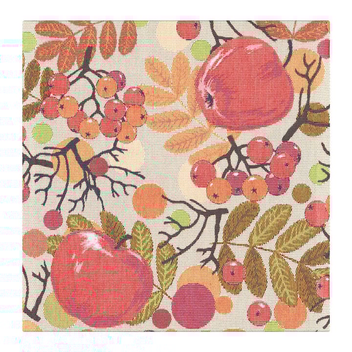 Äppelbär πετσέτα 35x35 cm - πολύχρωμο - Ekelund Linneväveri