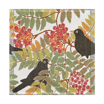 Koltrast πετσέτα 35x35 εκ. - Multi - Ekelund Linneväveri