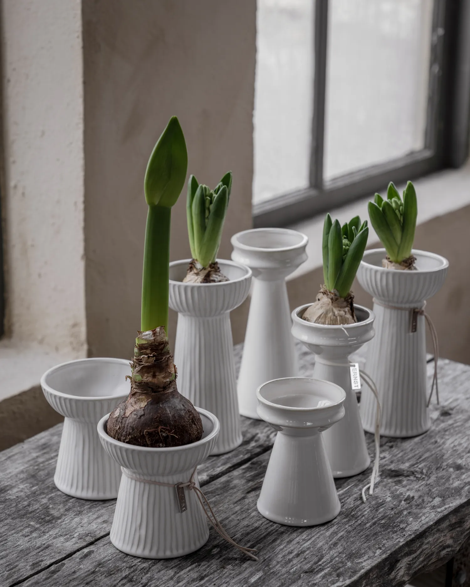 Ernst ραβδωτό βάζο κρεμμυδιού 11 cm, Φυσικό λευκό ERNST