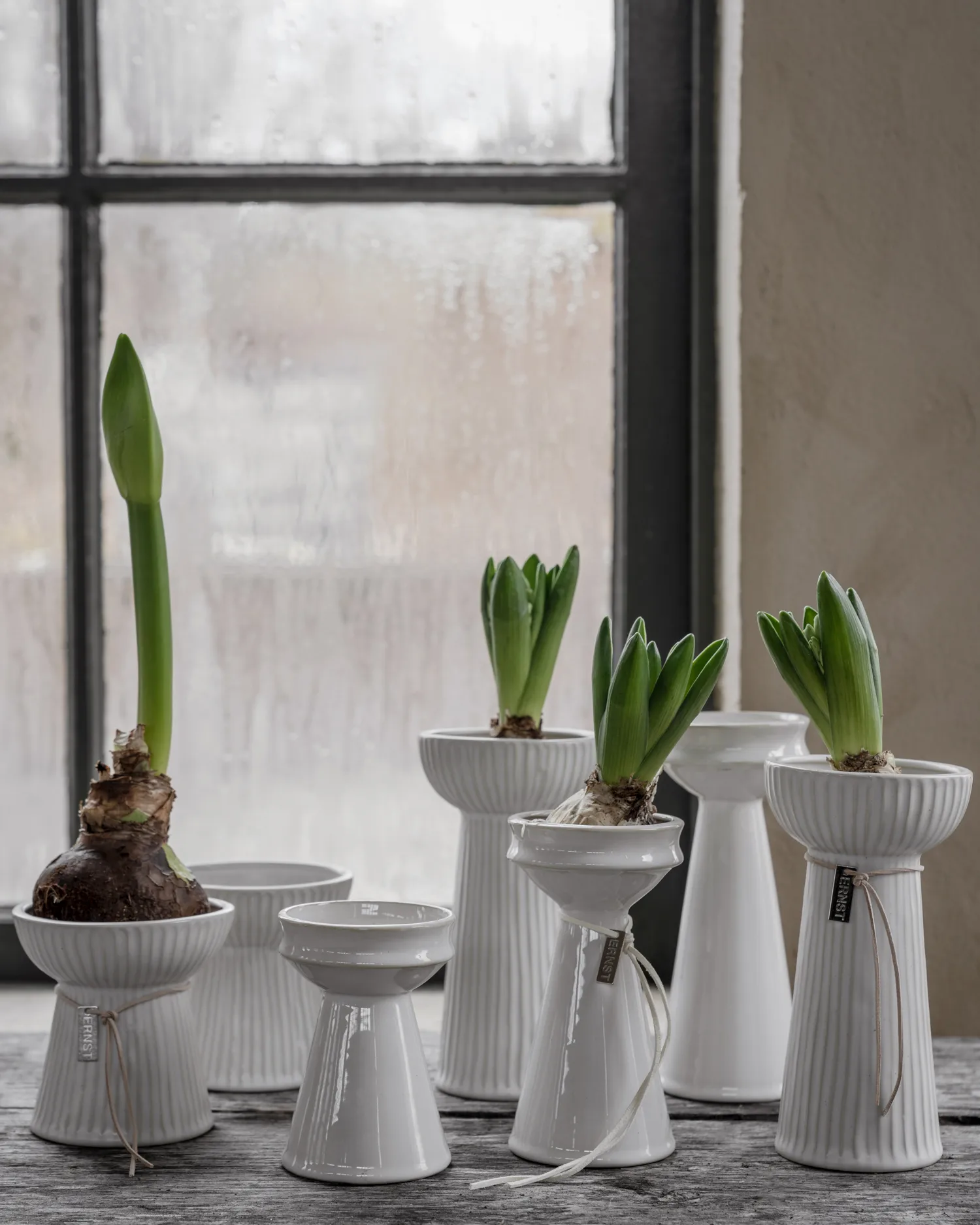 Ernst ραβδωτό βάζο κρεμμυδιού 11 cm, Φυσικό λευκό ERNST