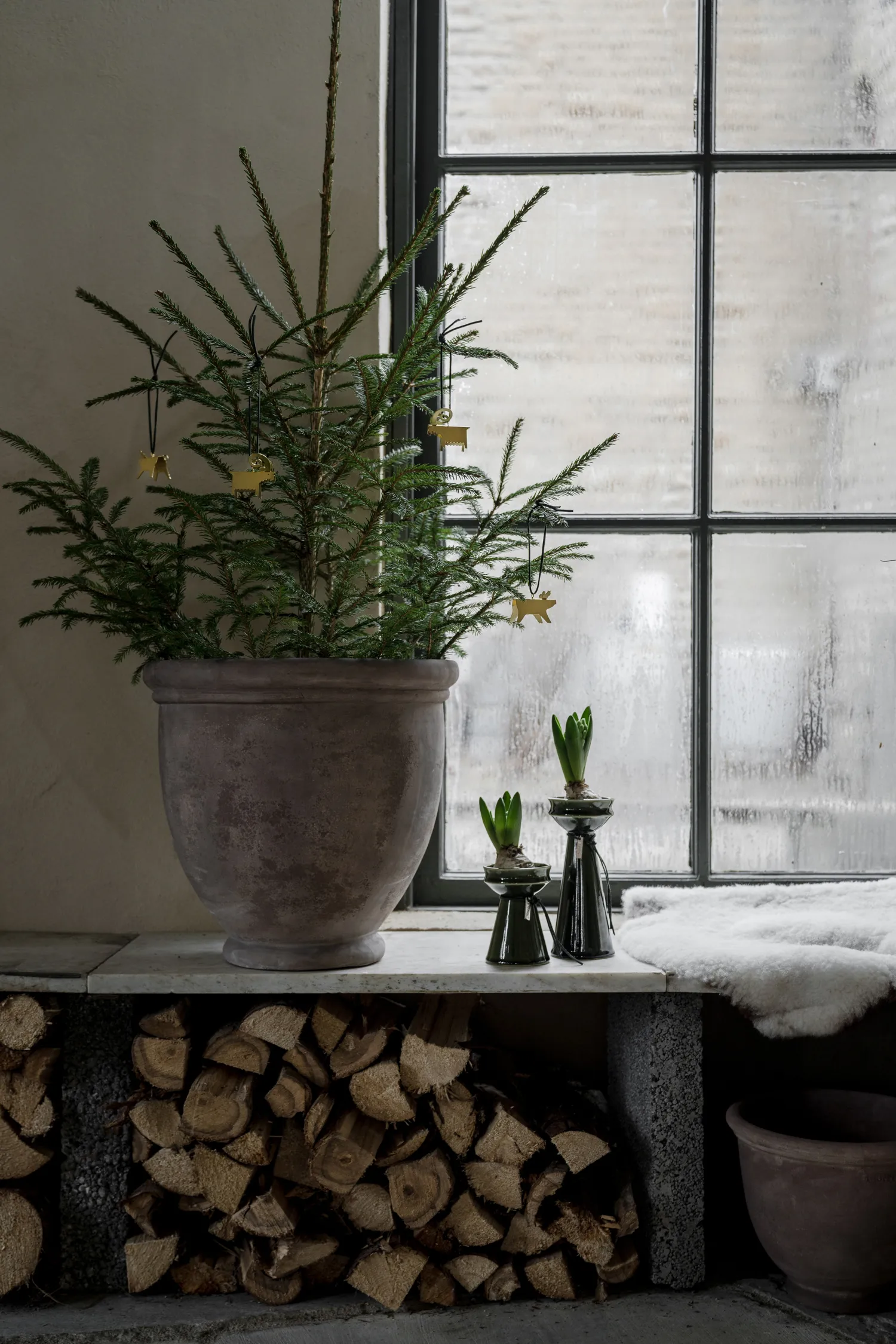 Βάζο για κρεμμύδια Ernst 12 cm., Σκούρο πράσινο ERNST