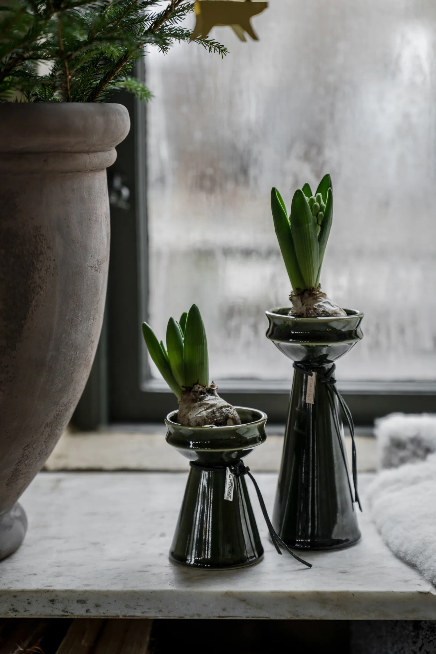 Βάζο για κρεμμύδια Ernst 12 cm., Σκούρο πράσινο ERNST