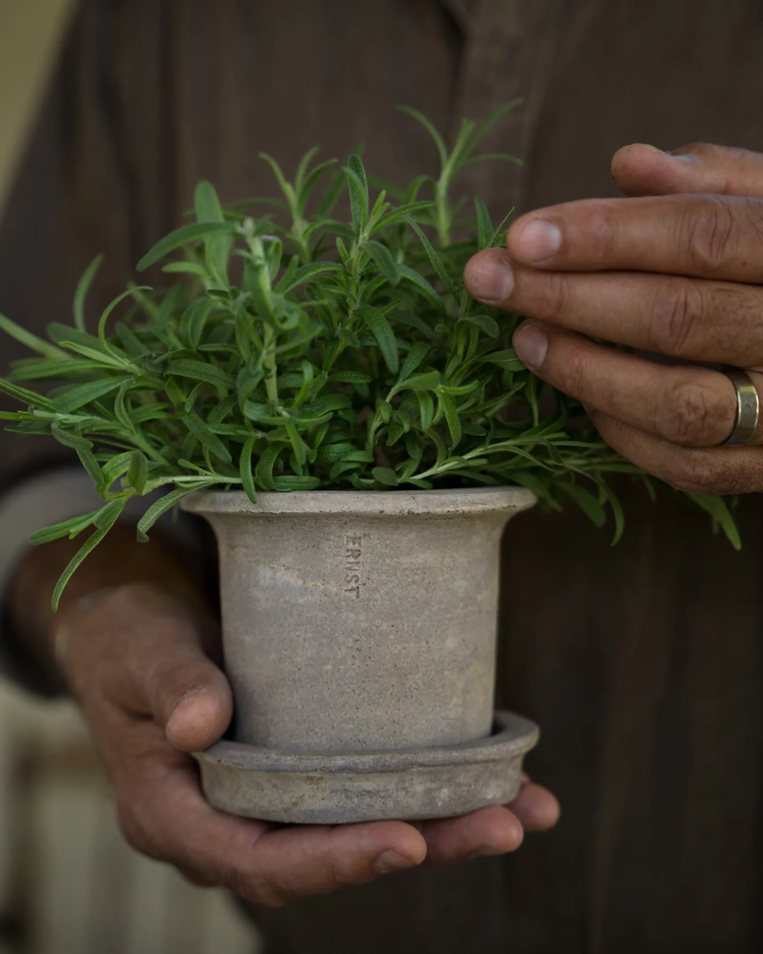 Ernst τερακότα γλάστρα με πιατάκι, Ø12x10 εκ. ERNST