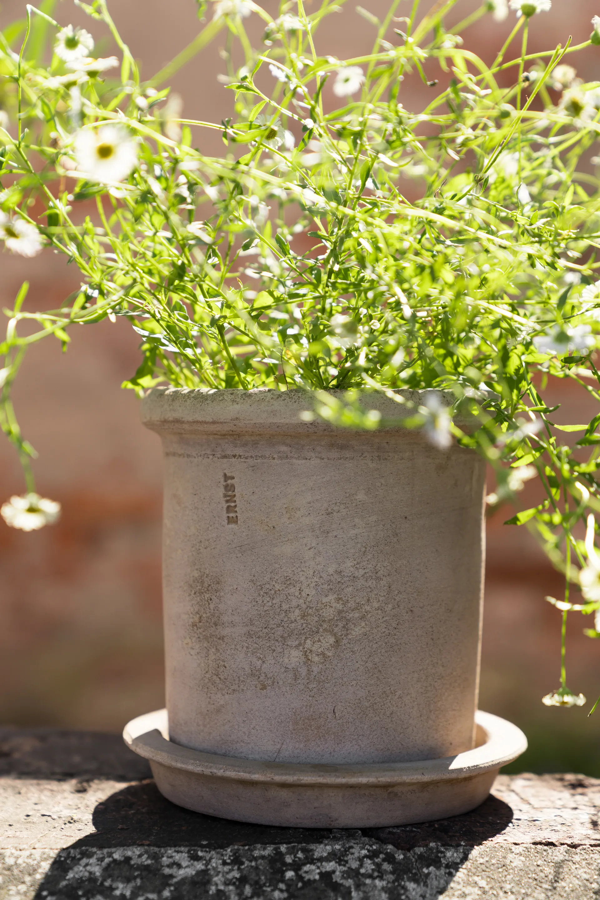 Ernst τερακότα γλάστρα με πιατάκι, Ø16x16 εκ. ERNST