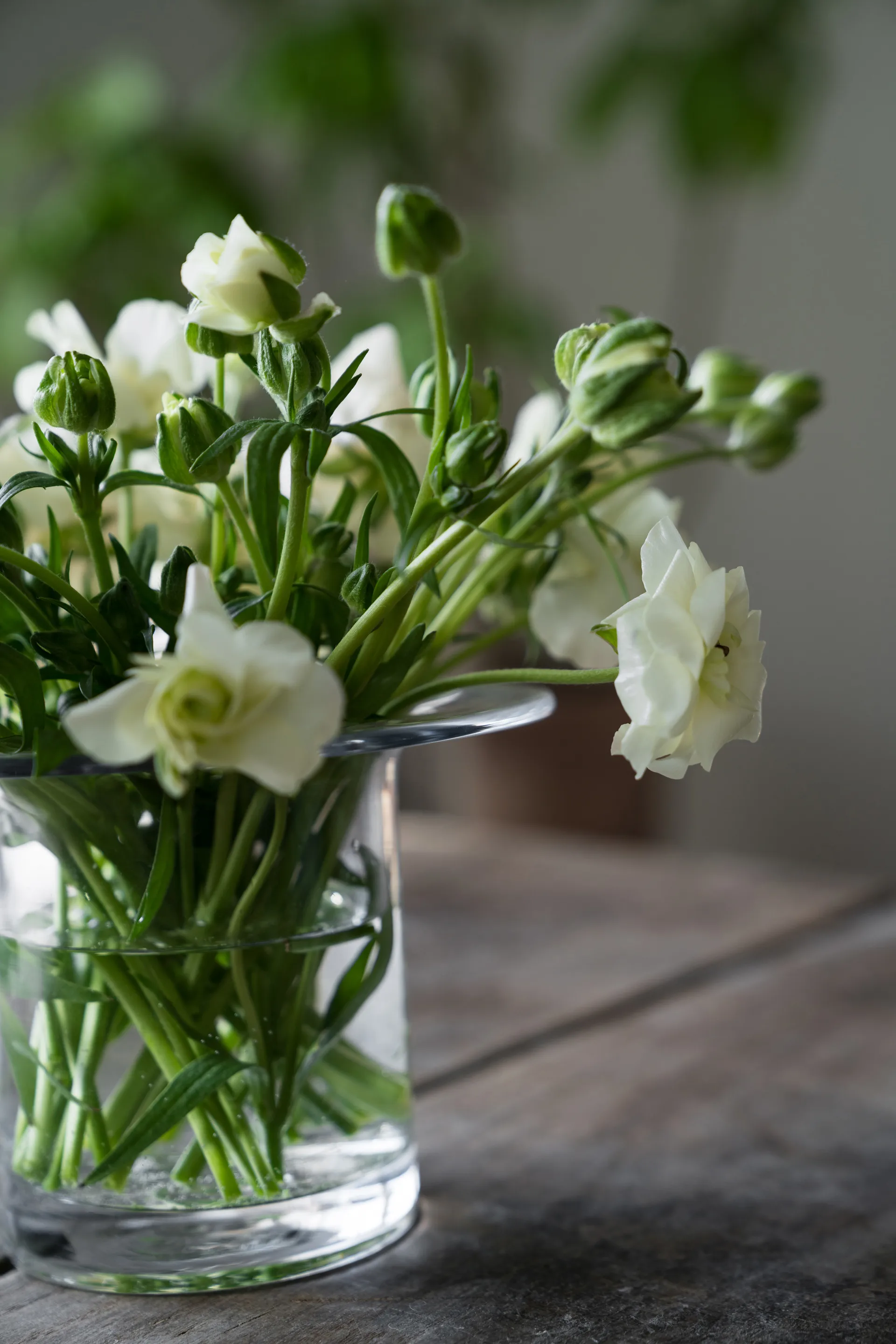 Ernst γυάλινο βάζο Ø17 εκ., Υ 13 εκ. ERNST