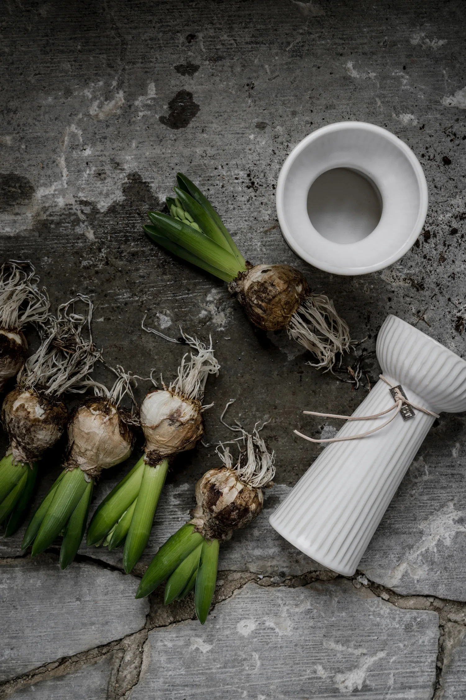 Ernst ραβδωτό βάζο κρεμμυδιού 19 cm, Φυσικό λευκό ERNST