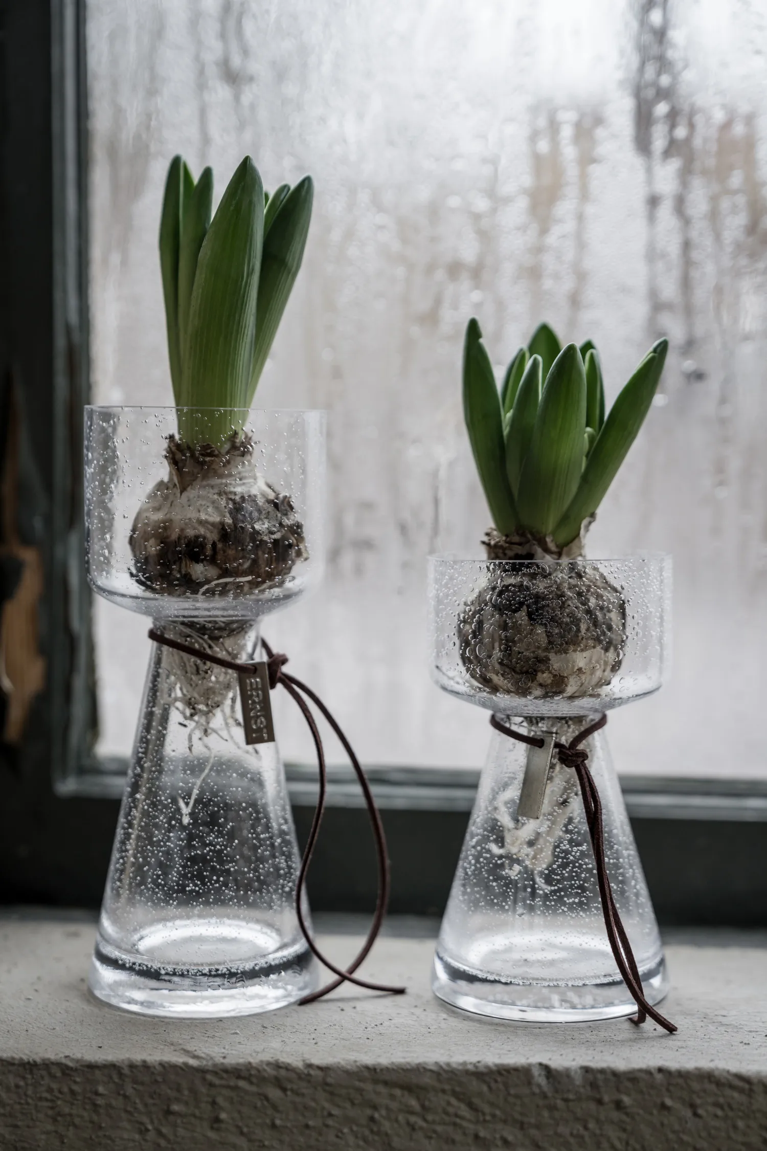 Ernst βάζο με κρεμμύδι γυαλί με φυσαλίδες, 20 cm ERNST