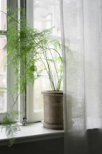 Ernst τερακότα γλάστρα με πιατάκι - Ø25x28 εκ. - ERNST