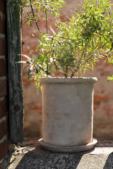 Ernst τερακότα γλάστρα με πιατάκι - Ø25x28 εκ. - ERNST