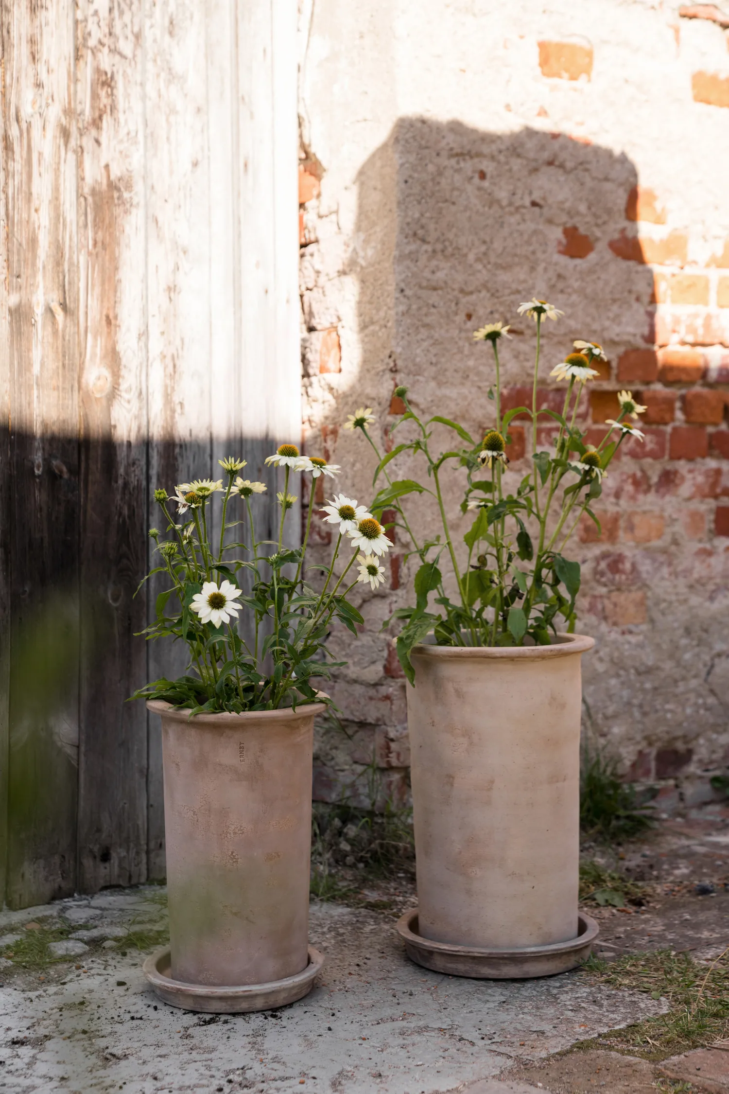 Ernst τερακότα γλάστρα με πιατάκι, Ø25x35 εκ. ERNST