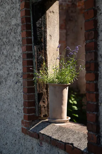 Ernst τερακότα γλάστρα με πιατάκι - Ø25x35 εκ. - ERNST
