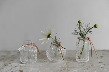 Ernst βάζο με μοτίβο σε συσκευασία δώρου 3 τεμαχίων - Διάφανο - ERNST