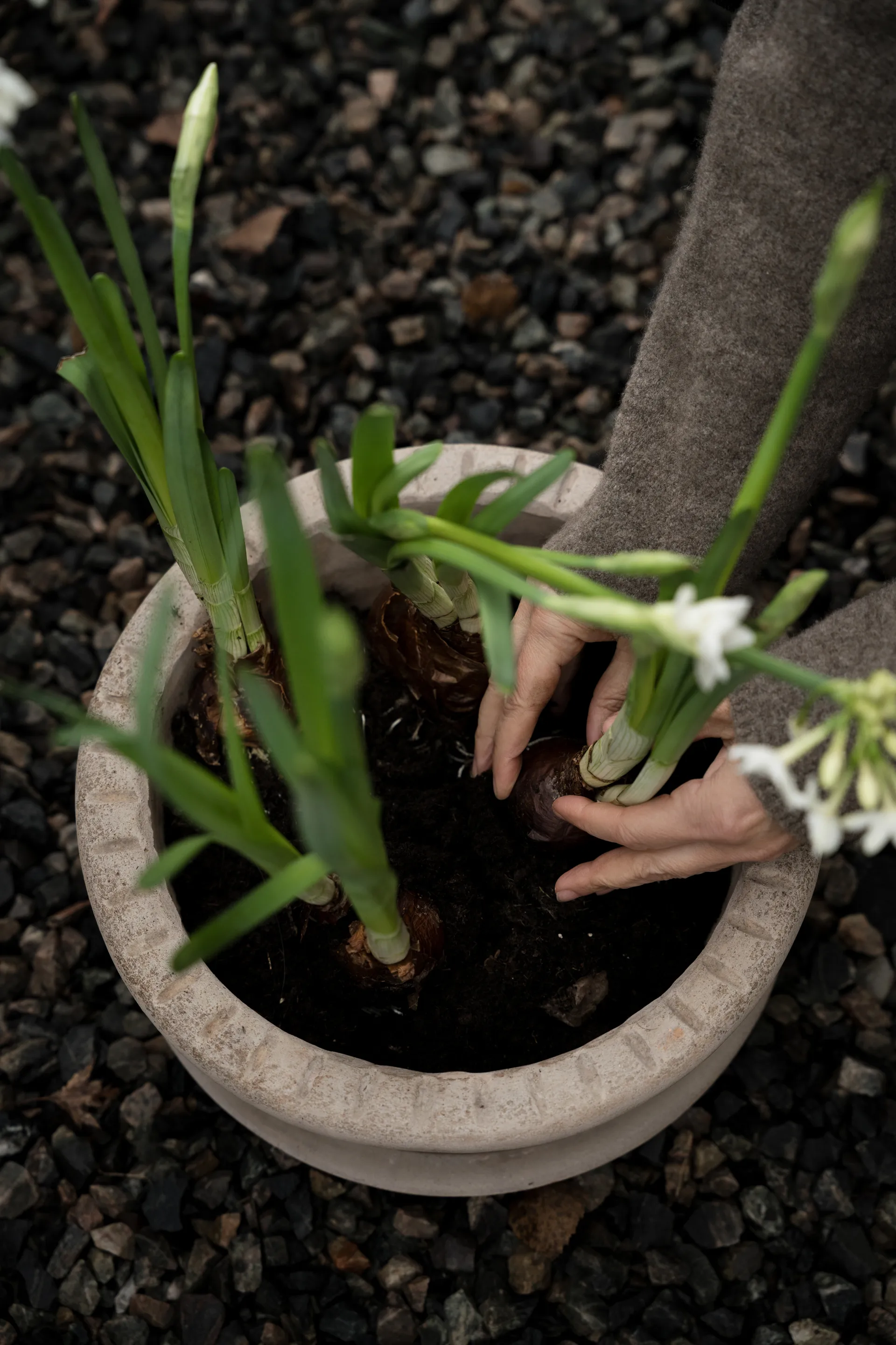 Ernst τερακότα γλάστρα με πιατάκι, Ø33x12 εκ. ERNST