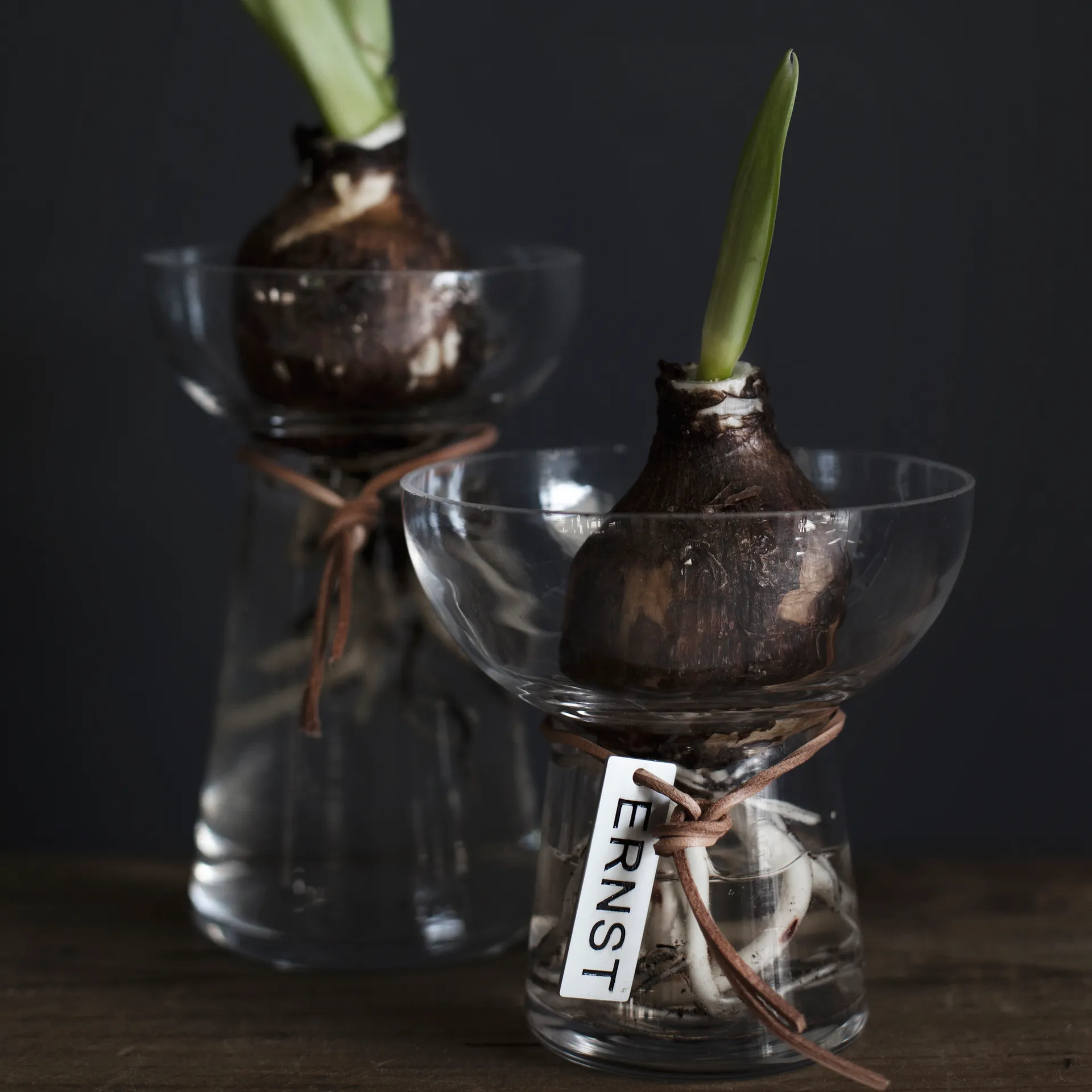 Ernst Hyacinth βάζο 15 cm, Διαφανές ERNST