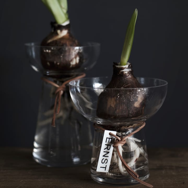 Ernst Hyacinth βάζο 15 cm, Διαφανές ERNST