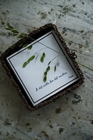 Ernst πετσέτα με ρητό I det enkla Συσκευασία 20 τεμαχίων - Ανοιχτό γκρι - ERNST