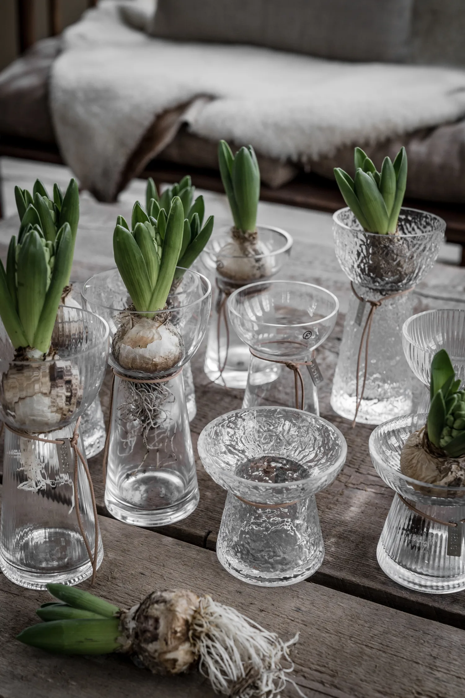 Ernst Onion ραβδωτό βάζο , 15 cm ERNST