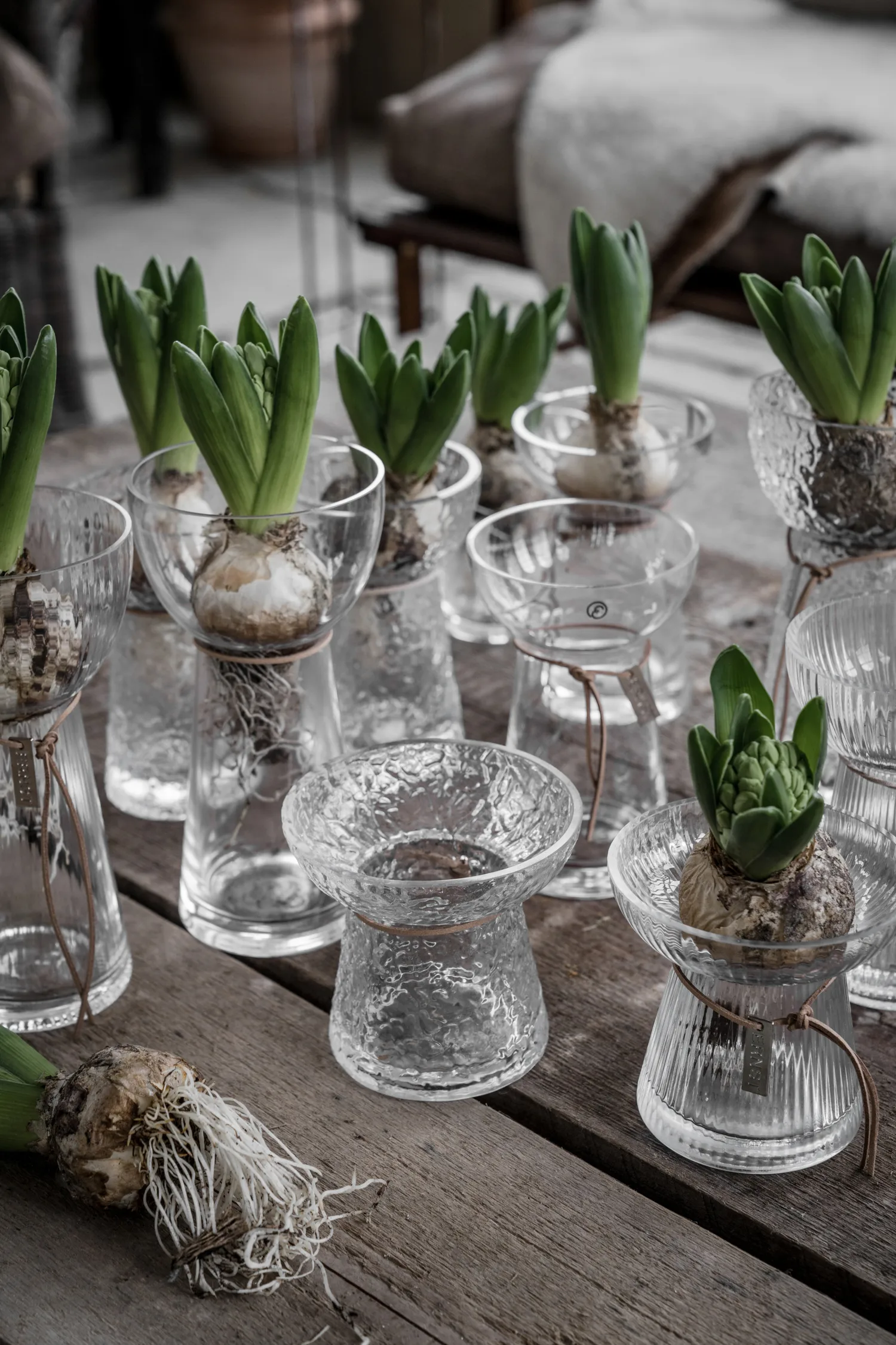 Ernst Onion βάζο με μοτίβο, 19 cm ERNST