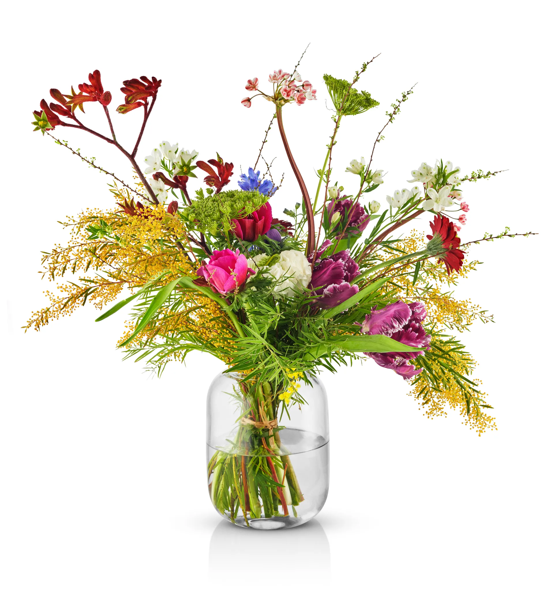 Acorn βάζο 16.5 εκ, Clear Eva Solo