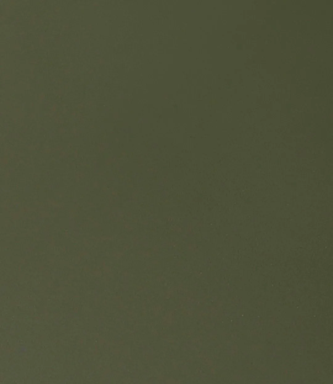 Τραπέζι τραπεζαρίας C35B 82x160 cm, Olive green-oak nature lacquered FDB Møbler