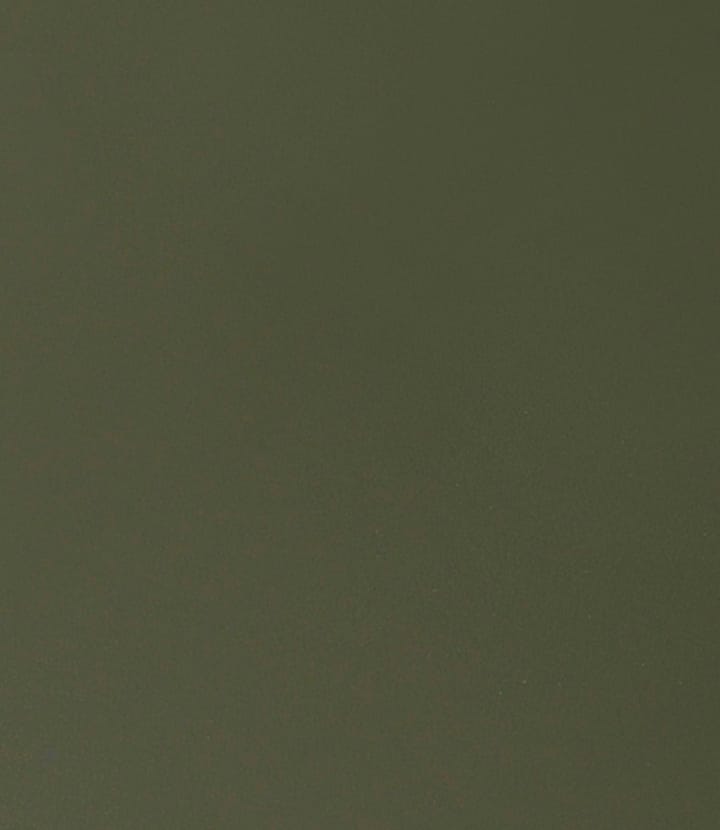 Τραπέζι τραπεζαρίας C35B 82x160 cm, Olive green-oak nature lacquered FDB Møbler