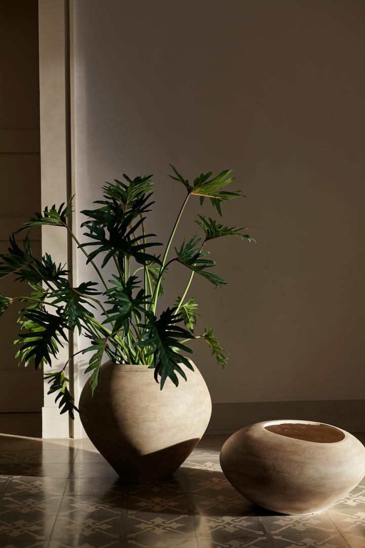 Dodu γλάστρα, Low Ferm Living