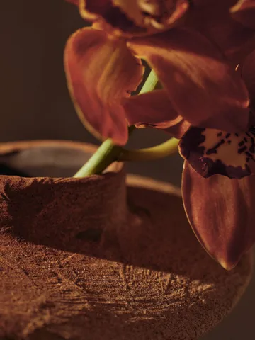 Evio βάζο - Burnt umber, Ø25x22 εκ. - Ferm Living