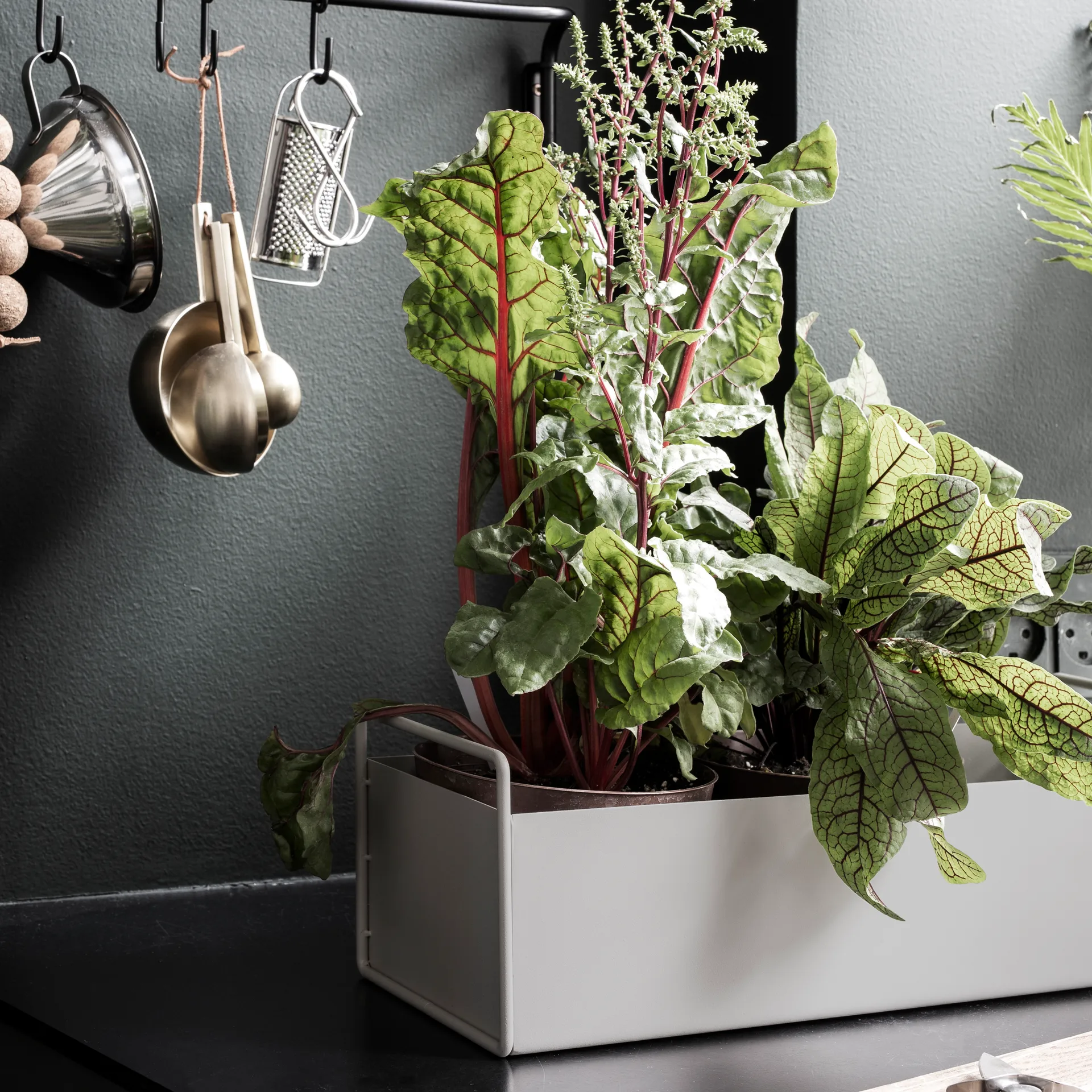 Ferm Living plant μικρό κουτί, ανοιχτό γκρι Ferm Living