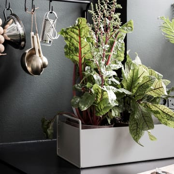 Ferm Living plant μικρό κουτί - ανοιχτό γκρι - Ferm Living