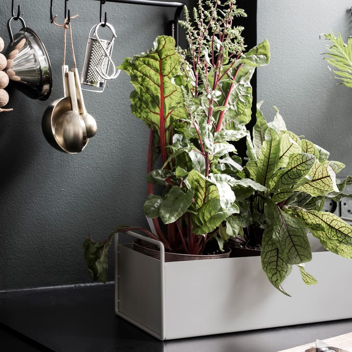 Ferm Living plant μικρό κουτί - ανοιχτό γκρι - ferm LIVING