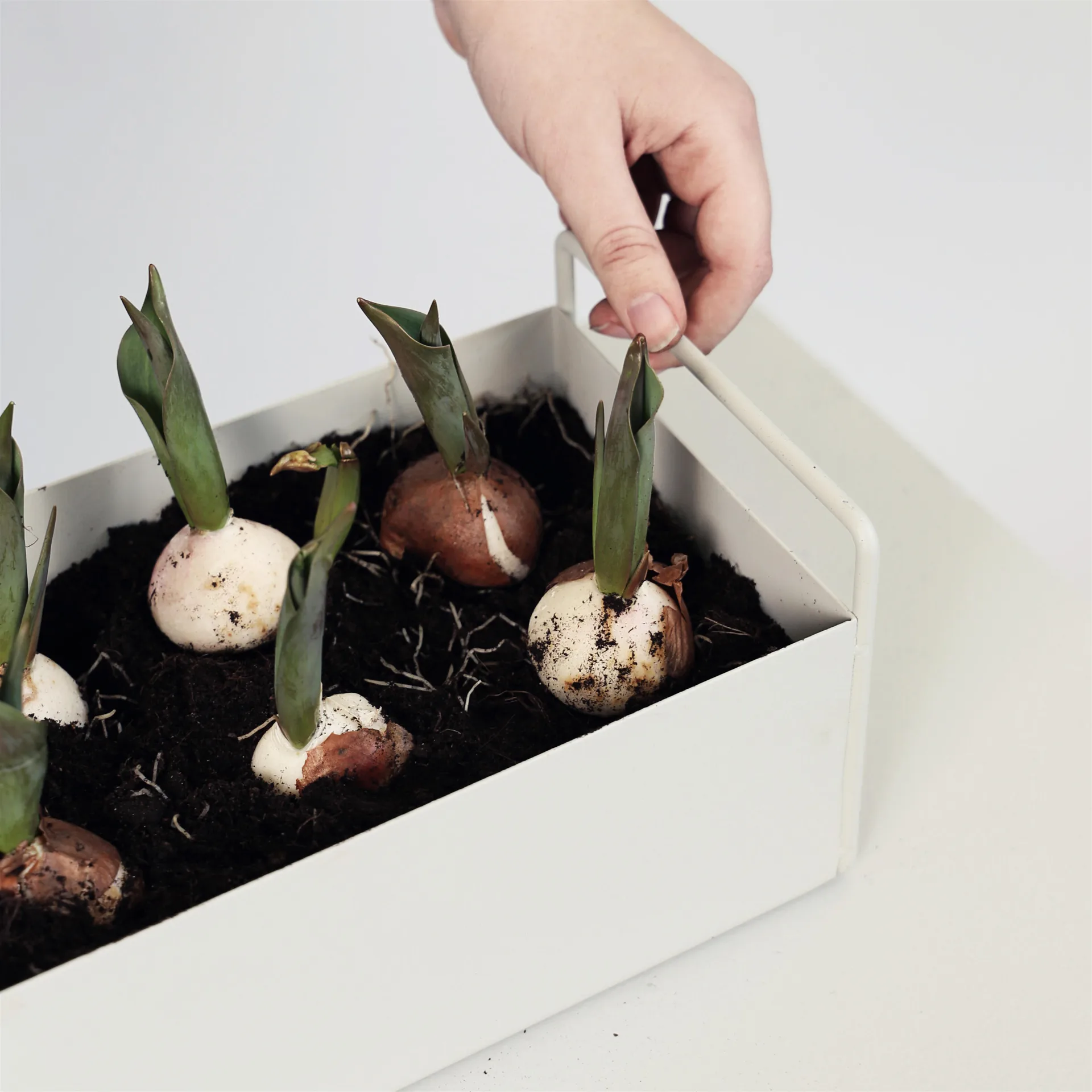 Ferm Living plant μικρό κουτί, ανοιχτό γκρι Ferm Living