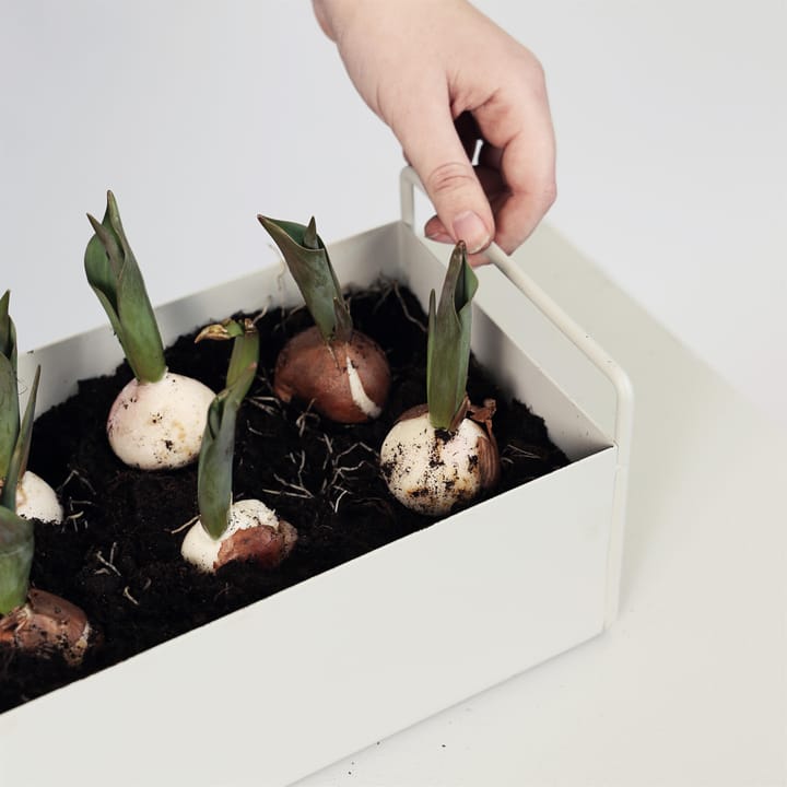 Ferm Living plant μικρό κουτί - ανοιχτό γκρι - ferm LIVING