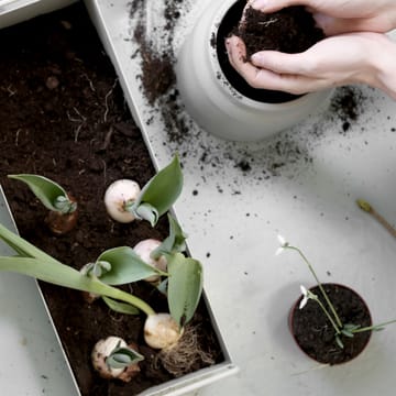 Ferm Living plant μικρό κουτί - ανοιχτό γκρι - ferm LIVING