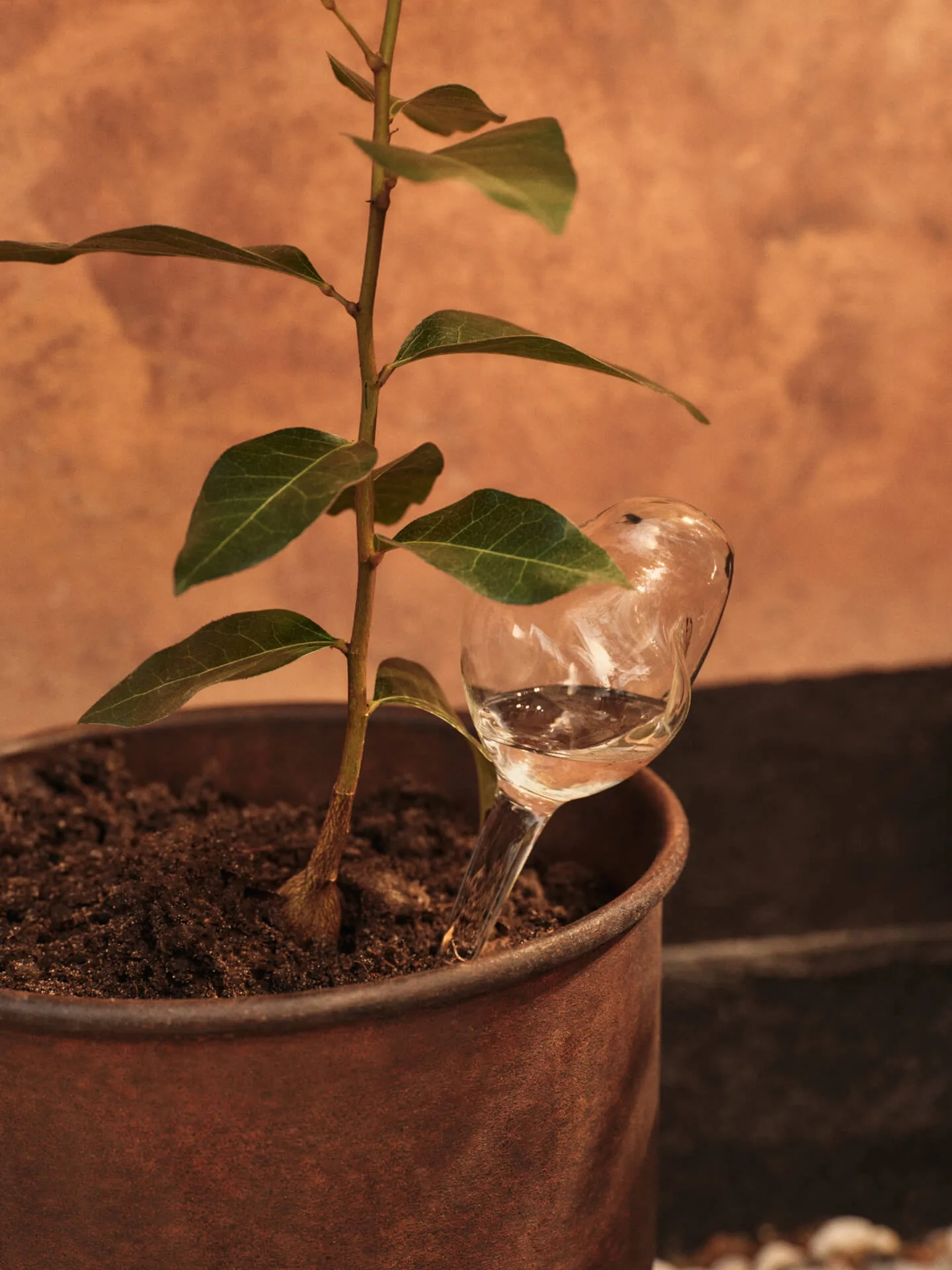 Γυάλινη σφαίρα ποτίσματος Mercury, σετ 2 τεμαχίων, Clear, 12x18,5 εκ. Ferm Living