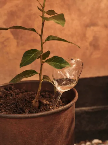 Γυάλινη σφαίρα ποτίσματος Mercury, σετ 2 τεμαχίων - Clear, 12x18,5 εκ. - Ferm Living