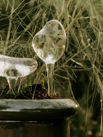 Γυάλινη σφαίρα ποτίσματος Mercury, σετ 2 τεμαχίων - Clear, 15x24 cm - Ferm Living