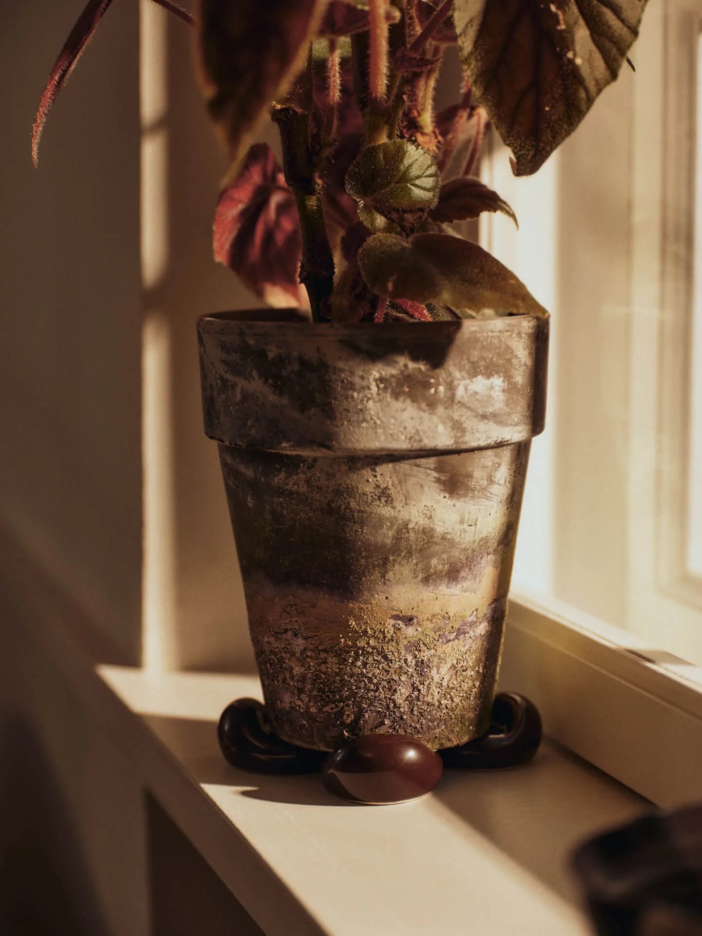 Ποδαράκια Nube για γλάστρα, σετ 4 τεμαχίων, Carob brown Ferm Living