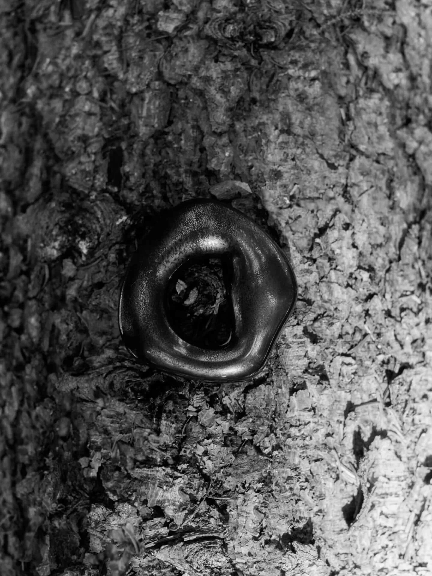 Orrith διακοσμητικό κρεμαστό (σετ 2 τεμαχίων), Rustic Bronze Ferm Living