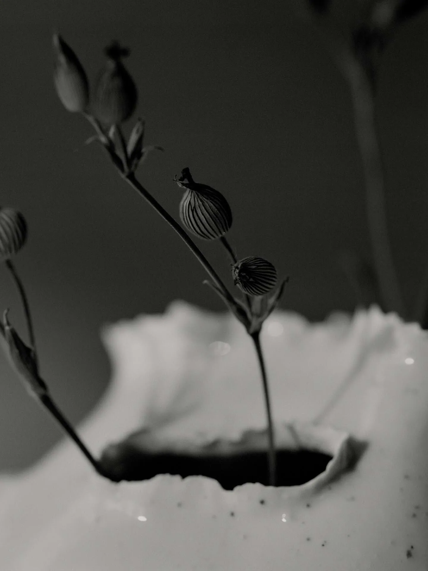 Tereo βάζο, Off-white speckle, 18 εκ. Ferm Living