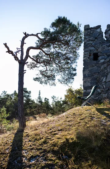 Fiesta Soft ξαπλώστρα - Tyg dark green-aluminiumstativ - Fiam