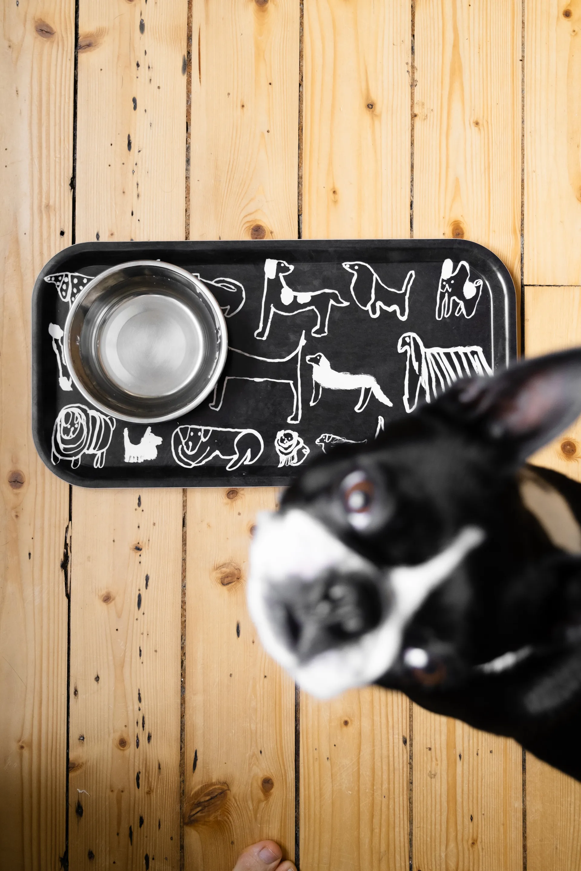 Dogs δίσκος 22x43 εκ., Black-white Fine Little Day