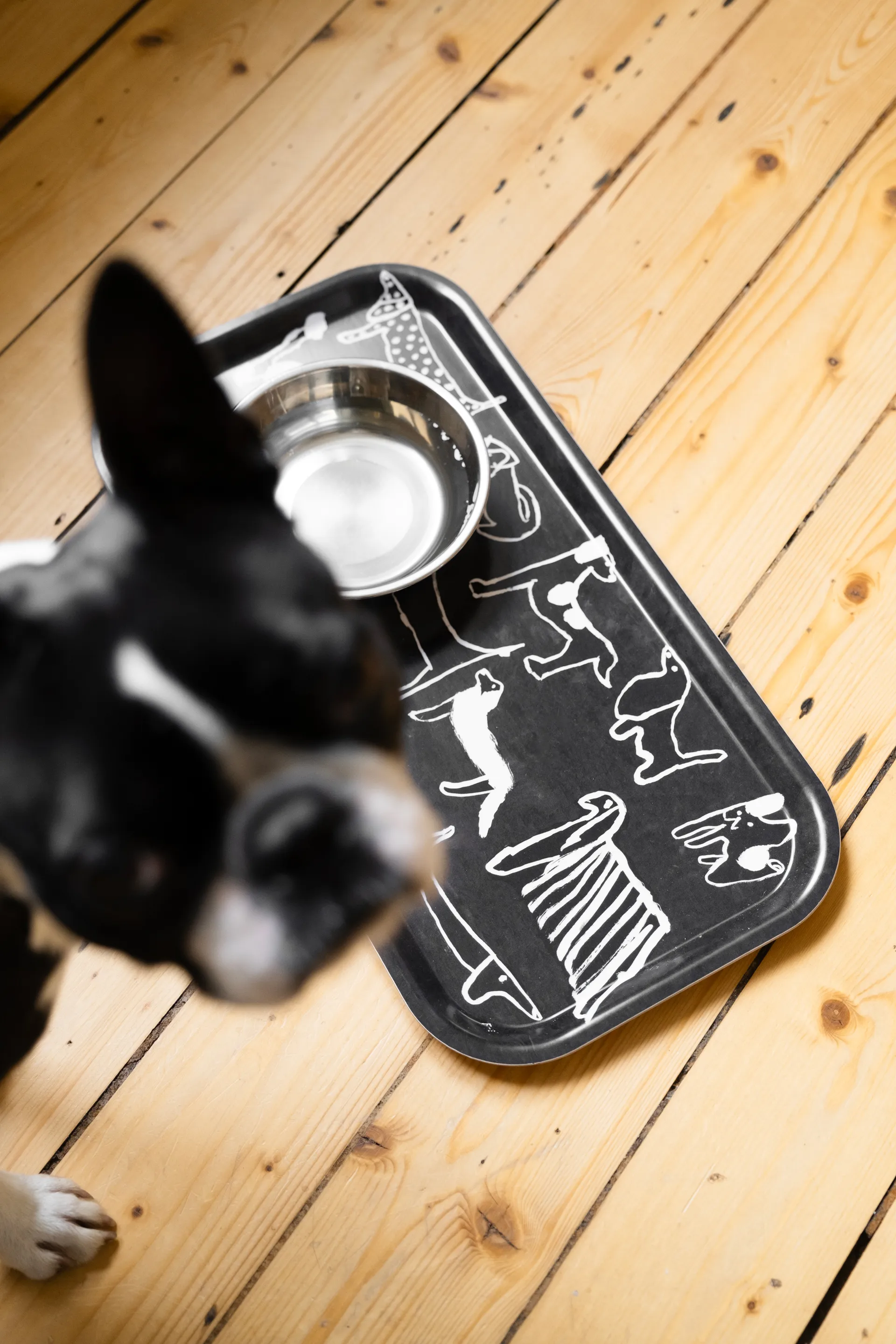 Dogs δίσκος 22x43 εκ., Black-white Fine Little Day
