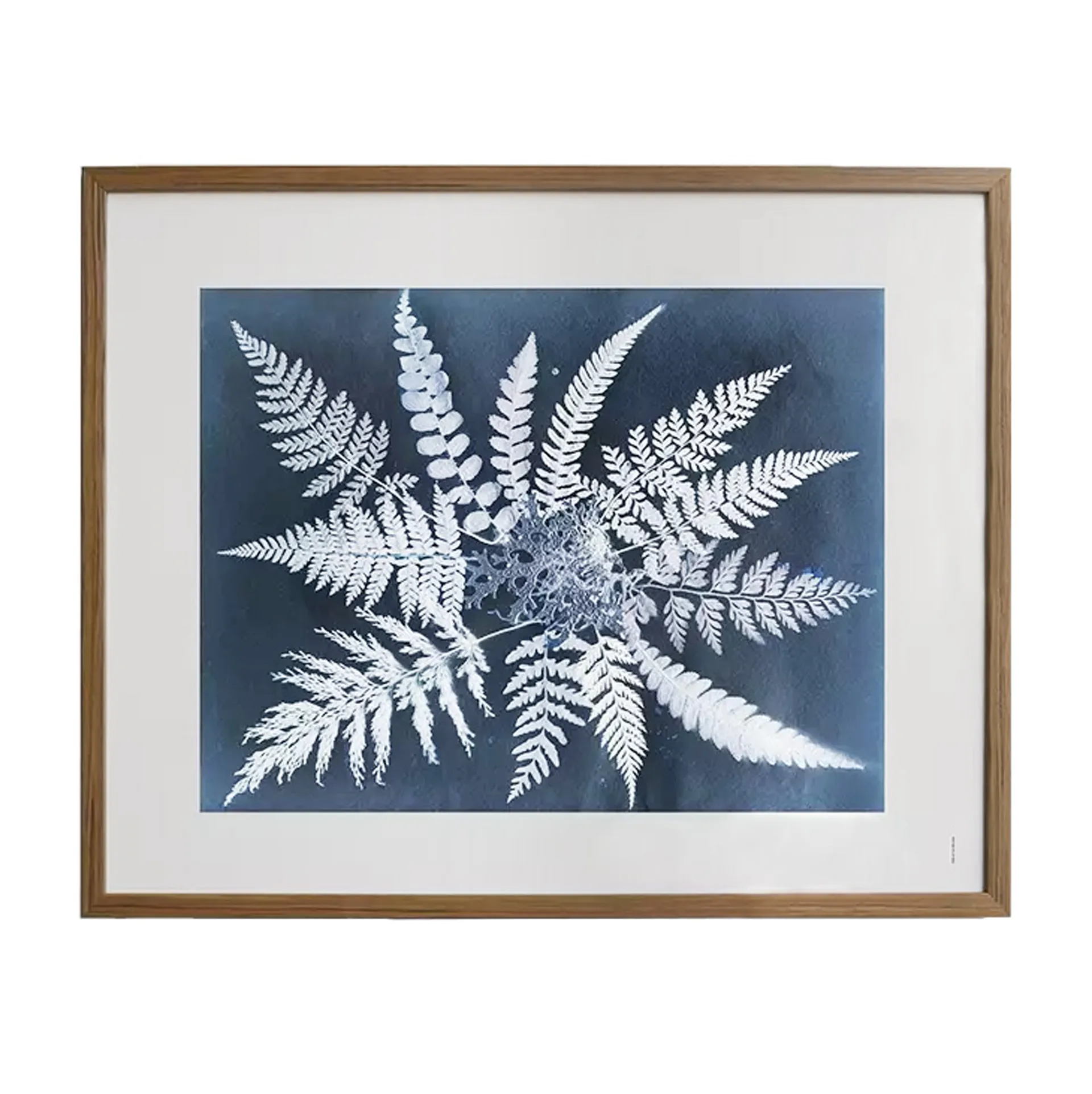 Fern star αφίσα, 40x50 cm Fine Little Day