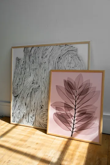 Metrosideros excelsa αφίσα - 40x50 cm - Fine Little Day